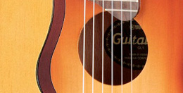 GL1 Closeup